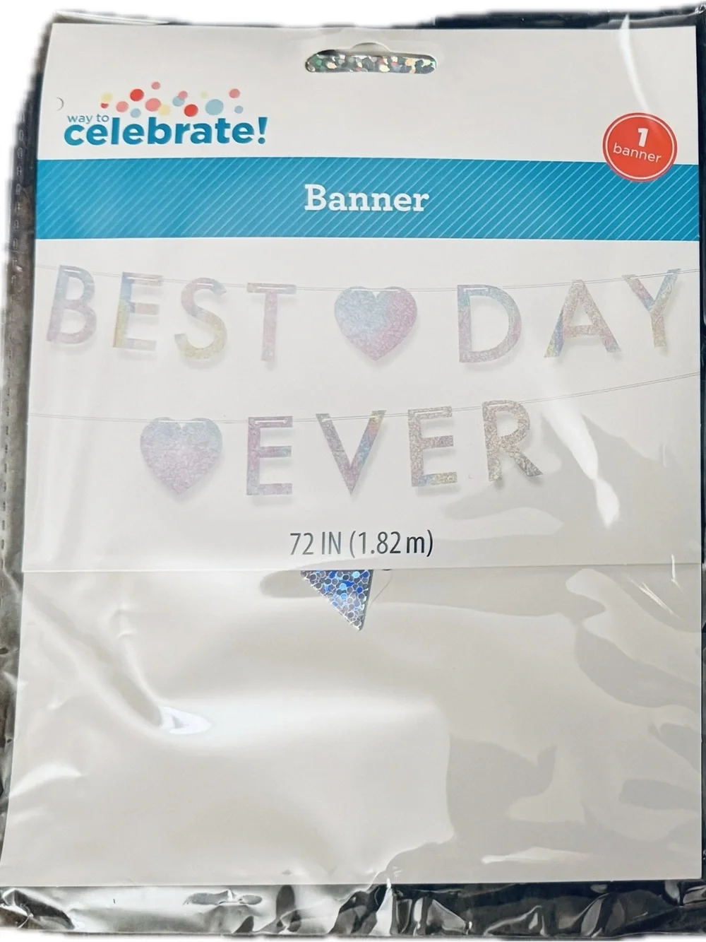 'Best Day Ever' Iridescent Banner - Silver, Foil, 72